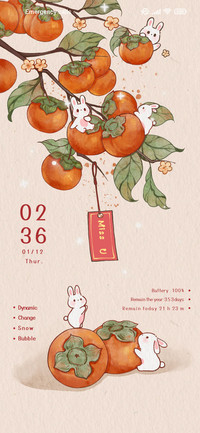 Persimmon Ruyi