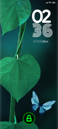 leaves nature