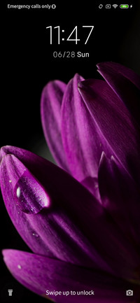 Purple Flower petals_3MDS