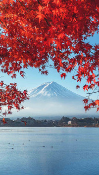 日本30年内大地震？