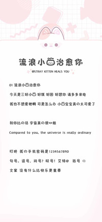 流浪小猫治愈你