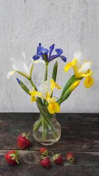 How maintenance irises flower