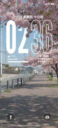 澎湃景深樱花