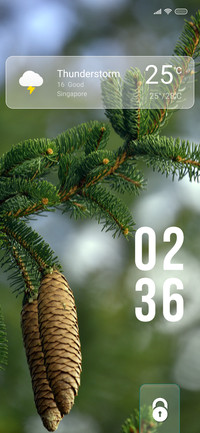 Pine Tree