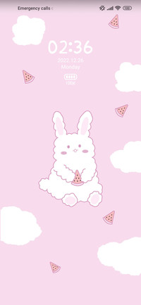 Watermelon rabbit