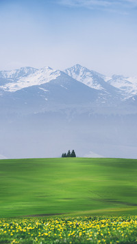 How to shoot minimalist photography 15