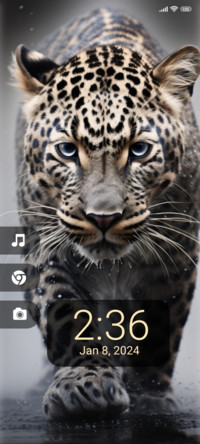 wild predator