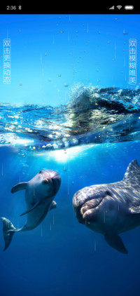 海豚溪水