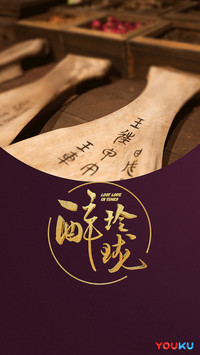 醉玲珑13