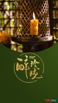 醉玲珑16