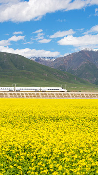 坐着火车去旅行
