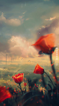 雨露