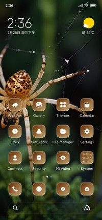 Spider