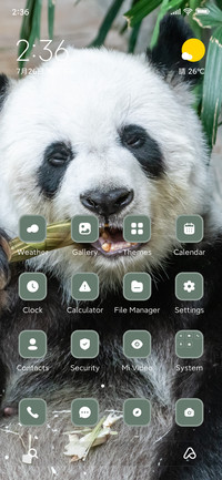 panda