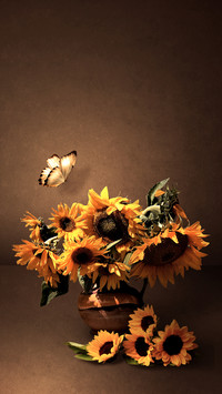 Sunflower-Desity