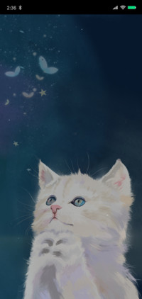 许愿猫