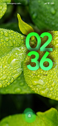 rain green