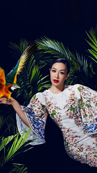 钟丽缇