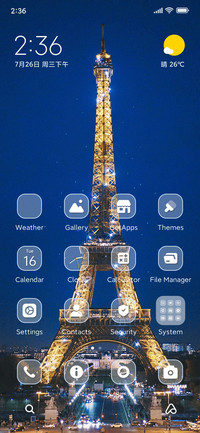 Paris Night