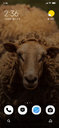 Wool Gaze