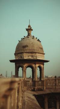 Vibe of India  (53)