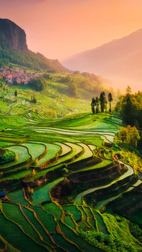 The worlds most beautiful curve