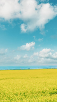 毕业旅行 就去这里吧