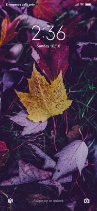Autumn Spra