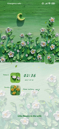 Wildflowers