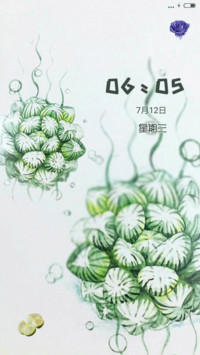 清新小多肉