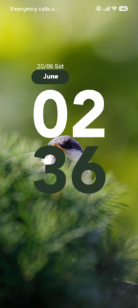 Green Bird