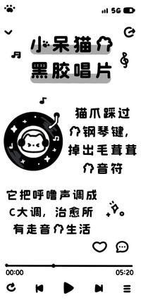 小呆猫的黑胶唱片