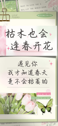 枯木也会逢春开花