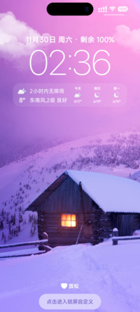 代号X