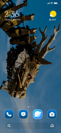 Dragon Decor