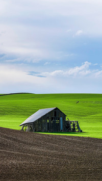 Spring landscape of Palouse Plains, Washington, USA