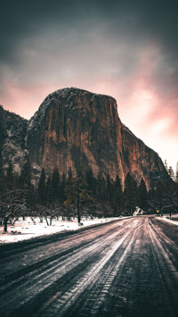 Nature's Glory (6)