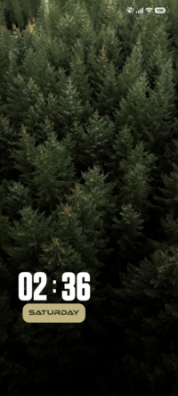 Forest