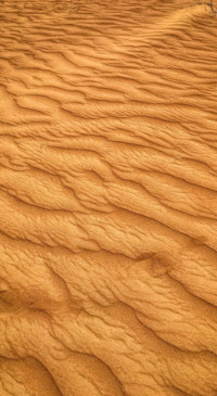 Texture &amp; Pattern (23)