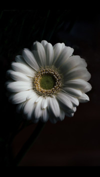 Amoled HD  (3)