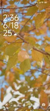 Golden Canopy