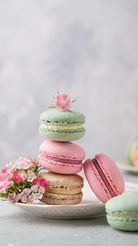 Cake french colorful macarons of pastel color