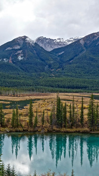 113306_1440x2560.jpg