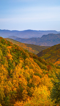 The autumn charm paints all the peaks