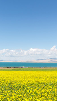 Scenic spots worth clocking in Qinghai 3