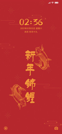 新年锦鲤