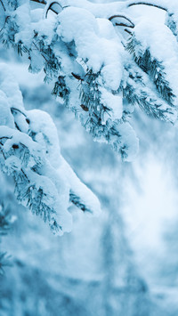 Northeast heavy snowfall enters its strongest period 2