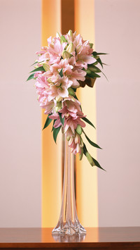 You can choose 65 for indoor flower arranging