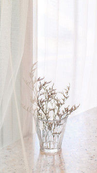 Little flower on the table