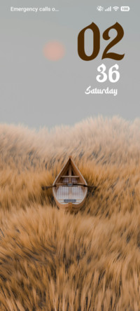 Boat Field